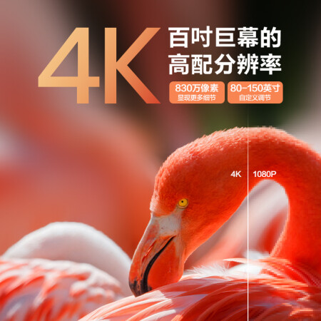 入手曝光海信vidda c1和坚果n1有何区别？哪款好用点？内行分析实际情况